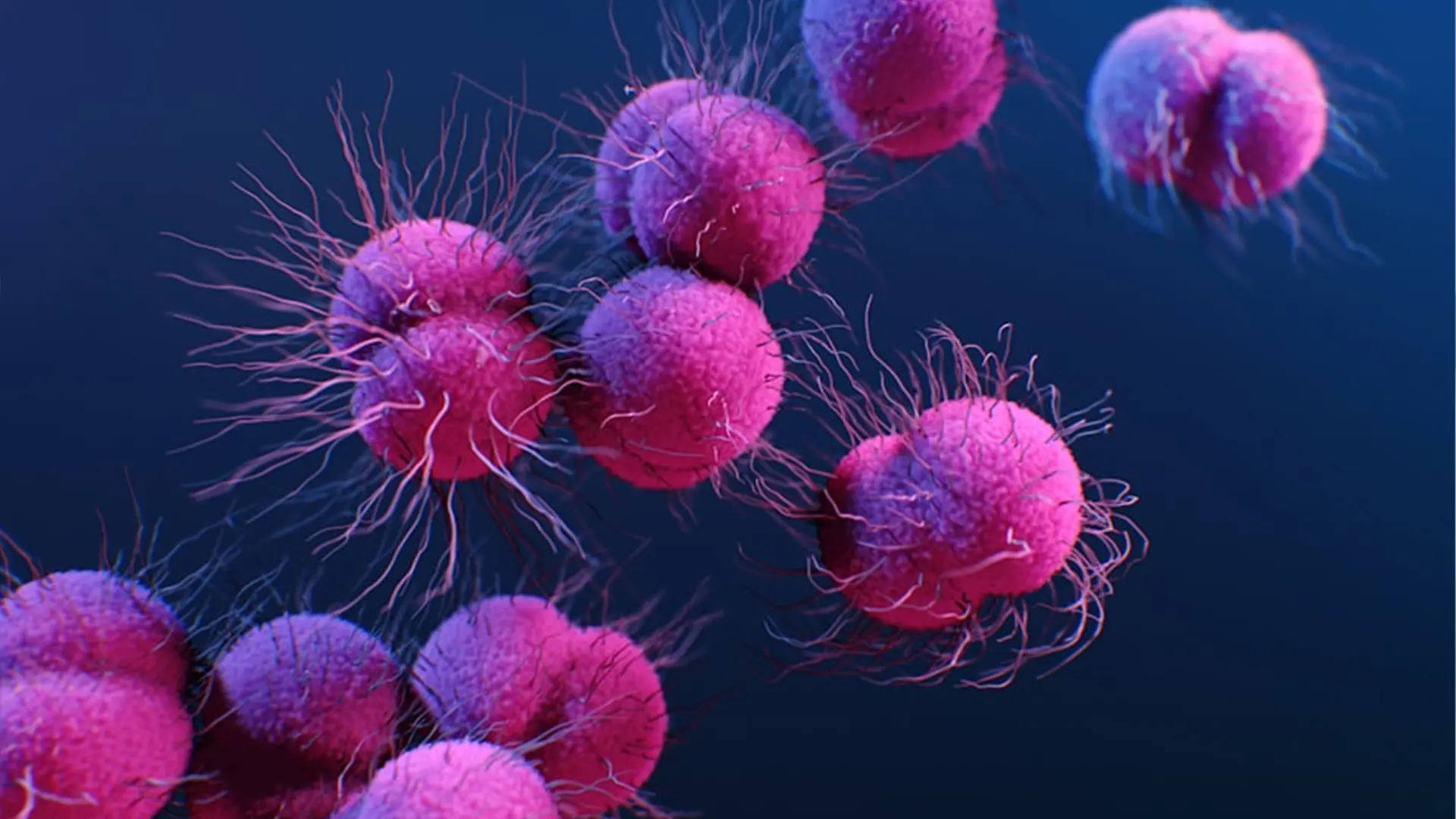 Cancer Detection via AI Imaging - EXRWebflow