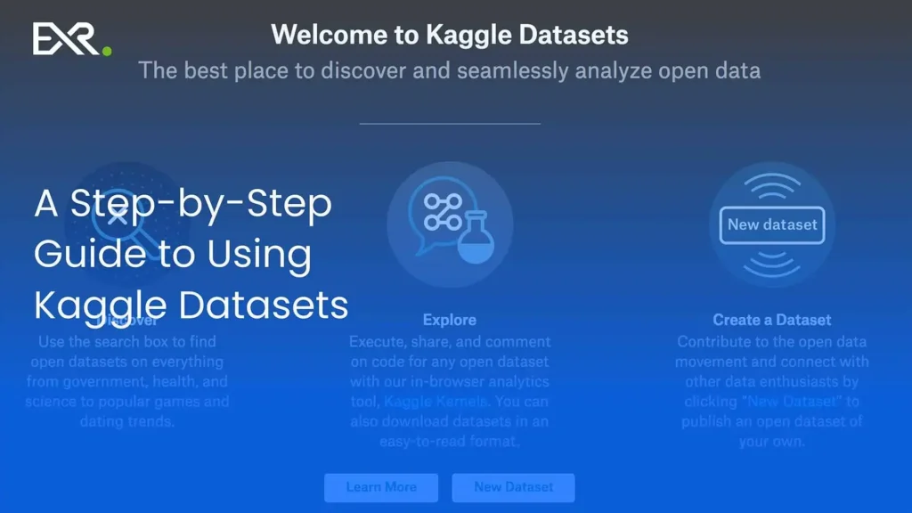 A Step-by-Step Guide to Using Kaggle Datasets