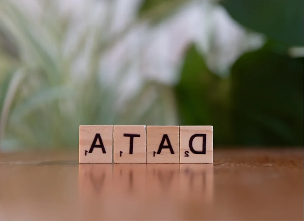 Data Strategy & Governance