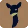 imgi 202 vicuna