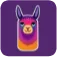 imgi 203 alpaca