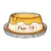 imgi 206 flan t5