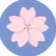 imgi 213 bloom 560m